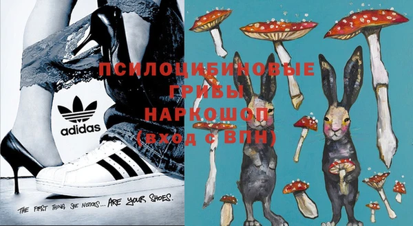 ГАЛЛЮЦИНОГЕННЫЕ ГРИБЫ Аркадак