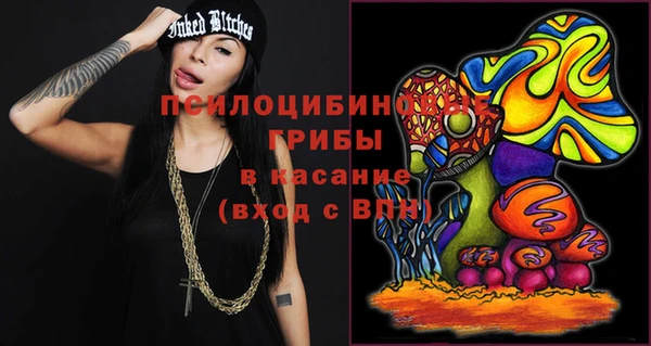 ГАЛЛЮЦИНОГЕННЫЕ ГРИБЫ Аркадак