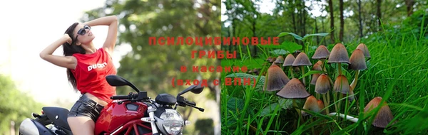 MDMA Premium VHQ Арсеньев