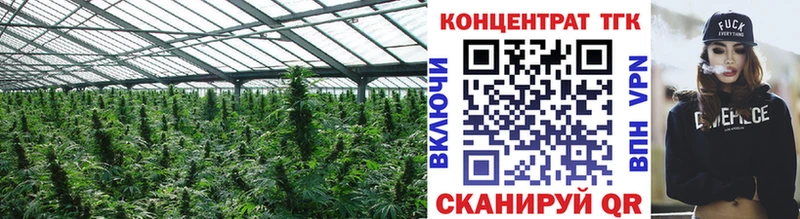 ТГК THC oil  OMG ссылки  Миасс 