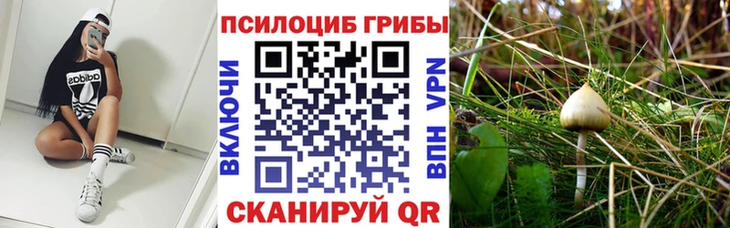 Псилоцибиновые грибы GOLDEN TEACHER цены наркотик Миасс